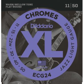D'Addario ECG24